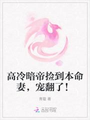 高冷暗帝捡到本命妻，宠翻了！