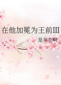 在他加冕为王前Ⅲ